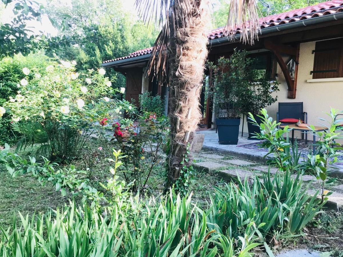 Le Gite De Gascogne Lectoure Exterior photo